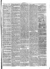 Cirencester Times and Cotswold Advertiser Monday 03 July 1871 Page 7