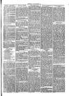 Cirencester Times and Cotswold Advertiser Monday 10 July 1871 Page 3