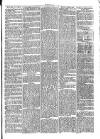Cirencester Times and Cotswold Advertiser Monday 10 July 1871 Page 7