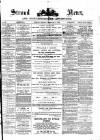 Stroud News and Gloucestershire Advertiser Friday 05 February 1875 Page 1