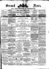 Stroud News and Gloucestershire Advertiser Friday 03 January 1879 Page 1