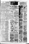 Stroud News and Gloucestershire Advertiser Friday 01 November 1901 Page 7
