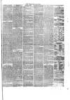 Tewkesbury Register Saturday 01 December 1866 Page 3