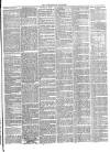 Tewkesbury Register Saturday 14 May 1870 Page 3