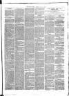 Stroud Journal Saturday 25 March 1865 Page 5