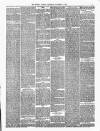 Stroud Journal Saturday 06 November 1880 Page 3