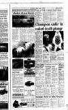 Newcastle Journal Thursday 15 November 1990 Page 6