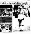 Newcastle Journal Monday 11 May 1992 Page 47