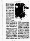 Young Woman Friday 06 January 1893 Page 19