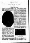 Young Woman Friday 06 October 1893 Page 19