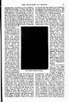 Young Woman Friday 05 October 1900 Page 19