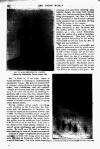 Young Woman Friday 05 April 1901 Page 2