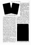 Young Woman Friday 04 October 1901 Page 7