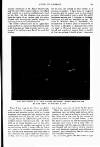 Young Woman Friday 04 October 1901 Page 31