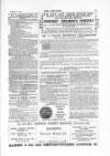 Bee-Hive Saturday 30 December 1876 Page 15