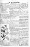 Lady's Newspaper and Pictorial Times Saturday 13 February 1847 Page 19