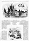Lady's Newspaper and Pictorial Times Saturday 17 August 1850 Page 8
