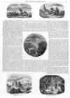 Lady's Newspaper and Pictorial Times Saturday 28 February 1852 Page 29