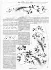 Lady's Newspaper and Pictorial Times Saturday 28 January 1854 Page 9