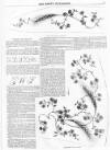 Lady's Newspaper and Pictorial Times Saturday 28 January 1854 Page 25
