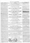 Lady's Newspaper and Pictorial Times Saturday 20 January 1855 Page 31