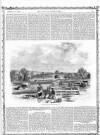 Lady's Newspaper and Pictorial Times Saturday 11 December 1858 Page 13