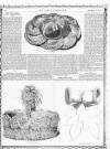 Lady's Newspaper and Pictorial Times Saturday 25 December 1858 Page 12