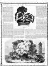 Lady's Newspaper and Pictorial Times Saturday 01 January 1859 Page 13