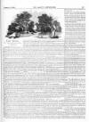 Lady's Newspaper and Pictorial Times Saturday 27 October 1860 Page 5