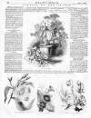 Lady's Newspaper and Pictorial Times Saturday 11 May 1861 Page 12