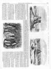 Lady's Newspaper and Pictorial Times Saturday 01 February 1862 Page 13