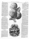 Lady's Newspaper and Pictorial Times Saturday 31 May 1862 Page 12