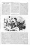 Lady's Newspaper and Pictorial Times Saturday 21 February 1863 Page 13