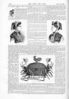 Lady's Own Paper Saturday 12 June 1869 Page 8