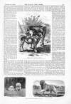 Lady's Own Paper Saturday 15 January 1870 Page 7