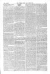 Weekly Chronicle (London) Saturday 14 February 1852 Page 19