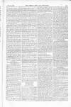 Weekly Chronicle (London) Saturday 12 November 1853 Page 25