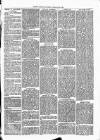 Cumberland & Westmorland Herald Saturday 20 February 1869 Page 3