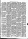 Cumberland & Westmorland Herald Saturday 20 March 1869 Page 3