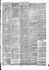 Cumberland & Westmorland Herald Tuesday 23 March 1869 Page 7