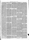 Cumberland & Westmorland Herald Saturday 03 April 1869 Page 3