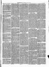 Cumberland & Westmorland Herald Saturday 10 April 1869 Page 3