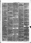 Cumberland & Westmorland Herald Tuesday 18 May 1869 Page 3