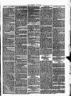 Cumberland & Westmorland Herald Tuesday 08 June 1869 Page 3