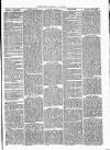 Cumberland & Westmorland Herald Tuesday 15 June 1869 Page 3