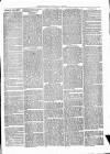 Cumberland & Westmorland Herald Saturday 19 June 1869 Page 3