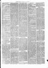 Cumberland & Westmorland Herald Saturday 26 June 1869 Page 3