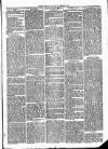 Cumberland & Westmorland Herald Saturday 03 January 1874 Page 7