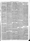 Cumberland & Westmorland Herald Saturday 25 April 1874 Page 3