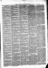 Cumberland & Westmorland Herald Saturday 30 January 1875 Page 3